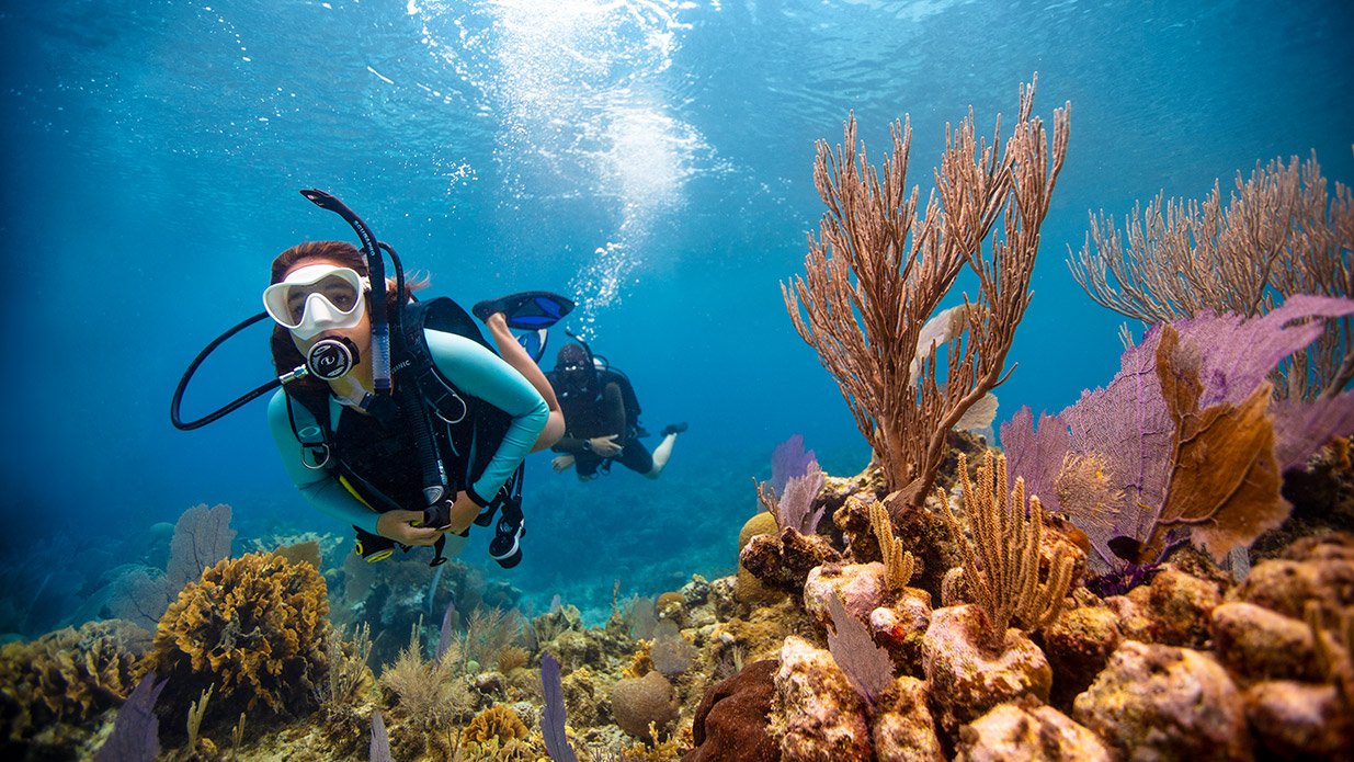 Diving Boats  DIVE CENTER KRK - Diving Center on Krk island in